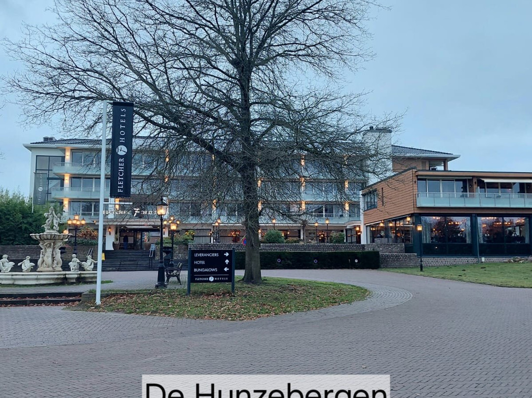 Fletcher Wellness-Hotel De Hunzebergen主图