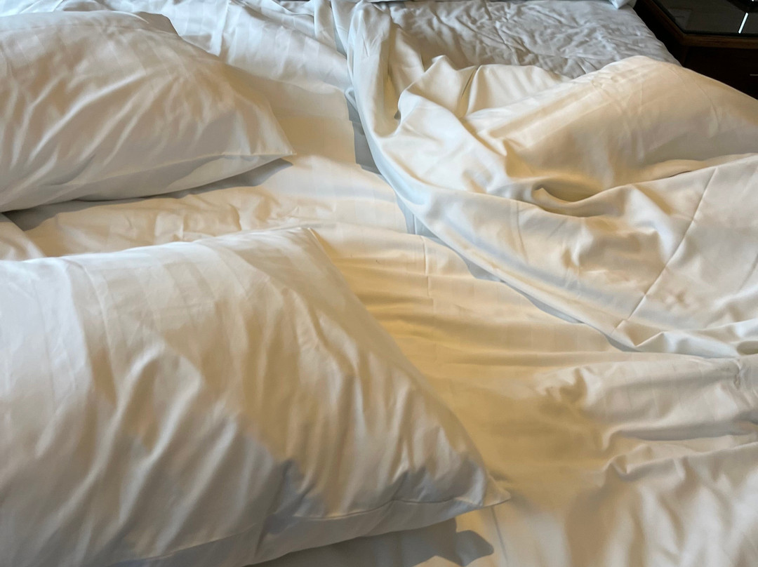 贝拉维斯特艾斯特利公寓主图