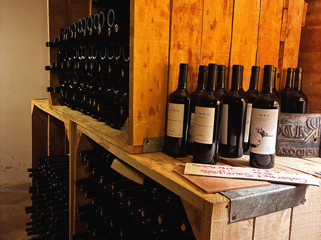 Limbo Finca & Bodega-圣拉斐尔必去景点