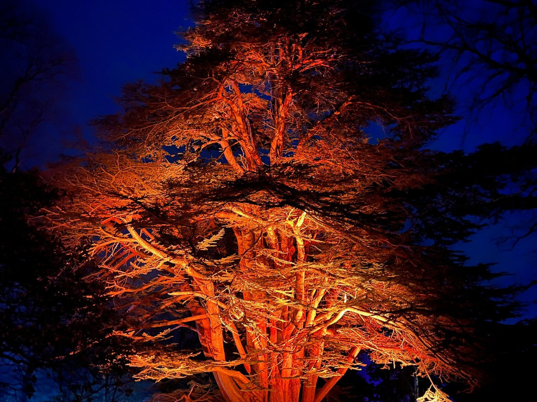 Cotswold Tours & Travel-莫顿因马什必去景点