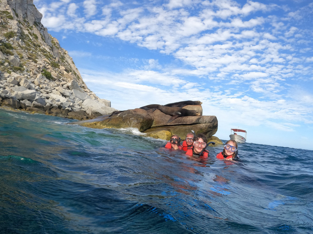 Cabo Pulmo Adventures-Cabo Pulmo必去景点