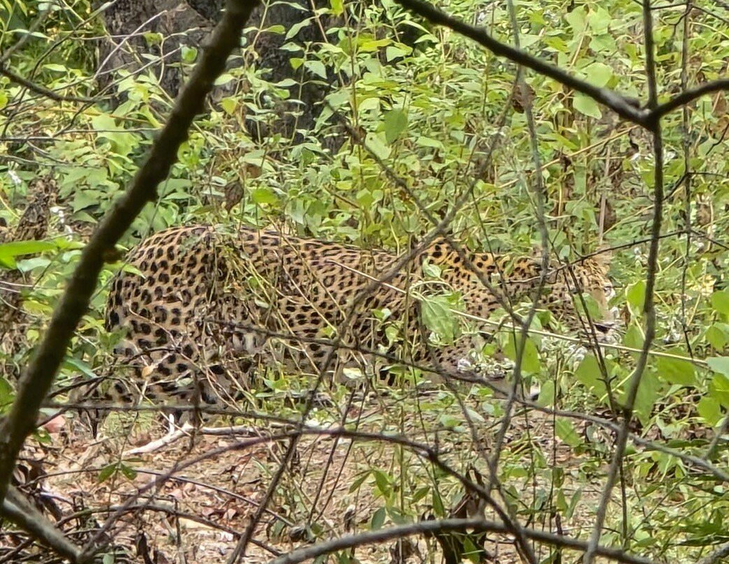 See Lanka Travels-Waikkal必去景点