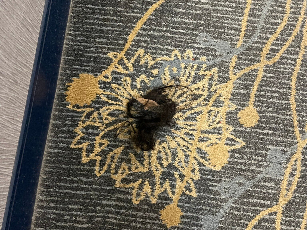 Doubletree By Hilton Chicago Wood Dale - Elk Grove主图