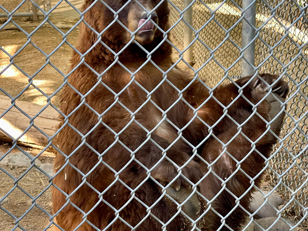 Southwest Wildlife Conservation Center-斯科茨代尔必去景点