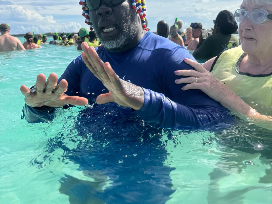 Stingray City-安提瓜必去景点