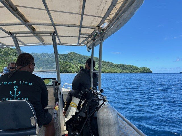 Reef Life Taveuni-马太必去景点