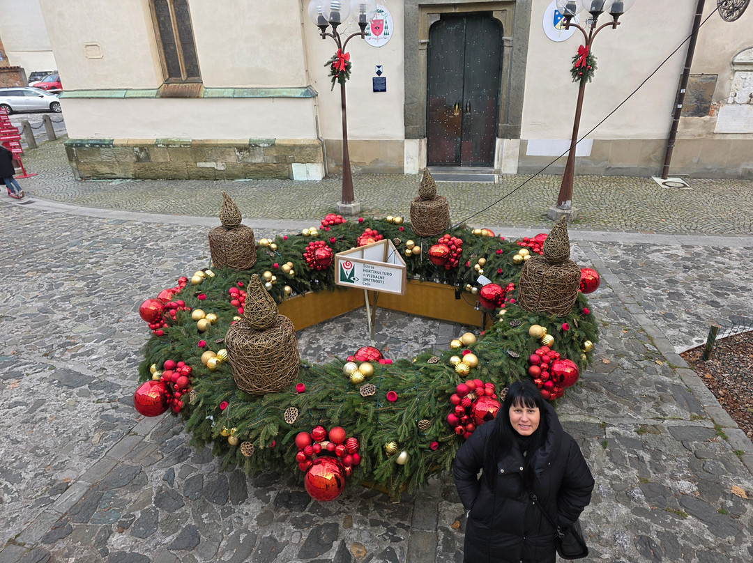 Celje Cathedral of Saint Daniel-Celje必去景点