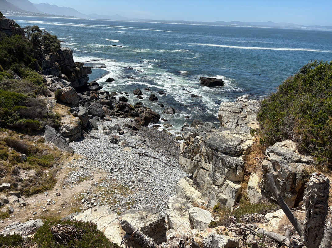 Hermanus Cliff Path-赫曼努斯必去景点