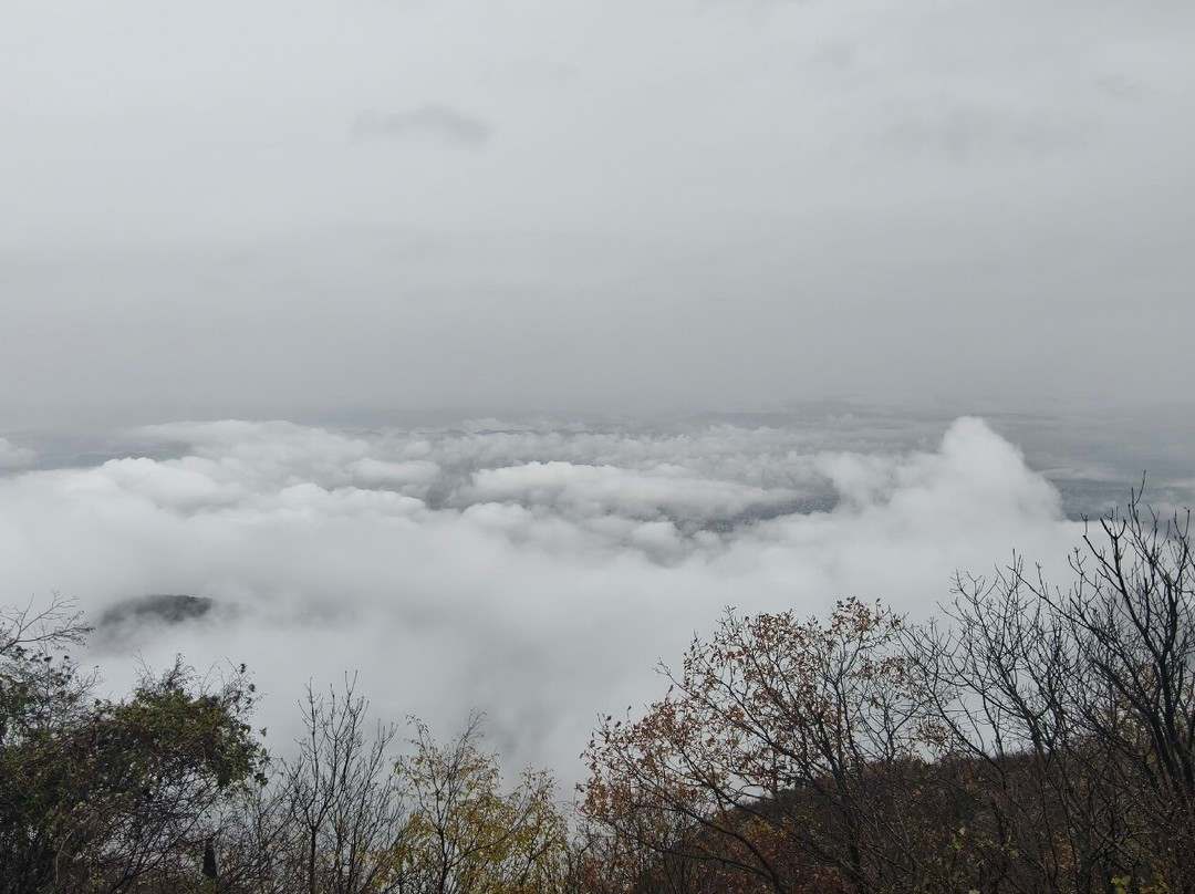 Dajti Ekspres Cable Car-地拉那必去景点
