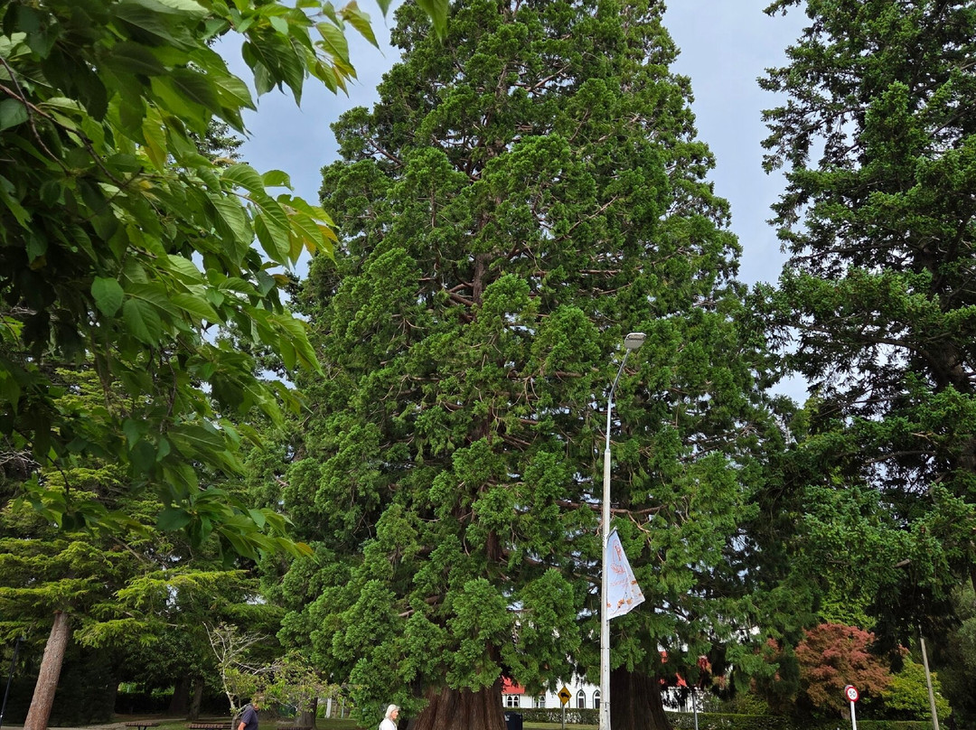 切尔滕纳姆宾馆主图