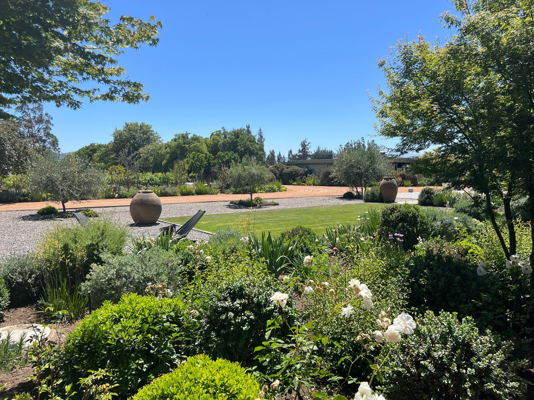 Bosco de Medici Winery-庞贝必去景点