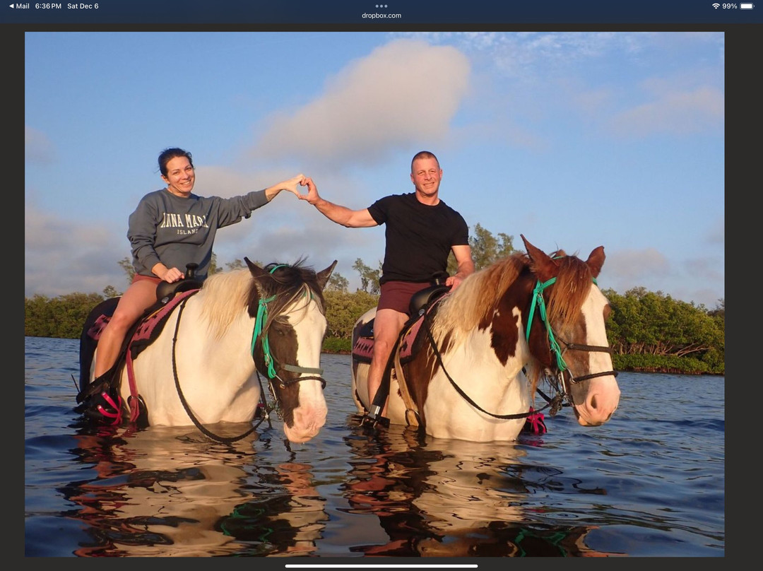 C Ponies Beach Horseback Rides-布雷登顿必去景点