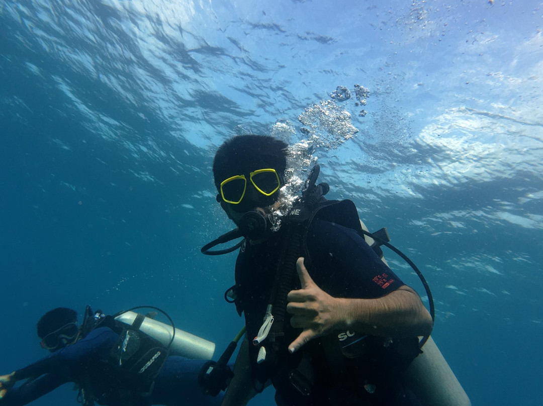 Turquoise Dream | PADI Dive Centre-Neil Island必去景点