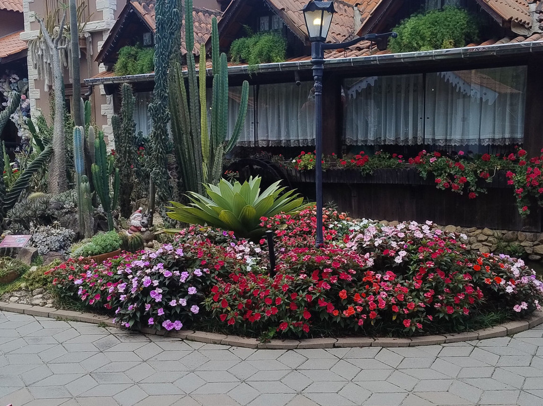 Descubra Floripa-弗洛里亚诺波利斯必去景点