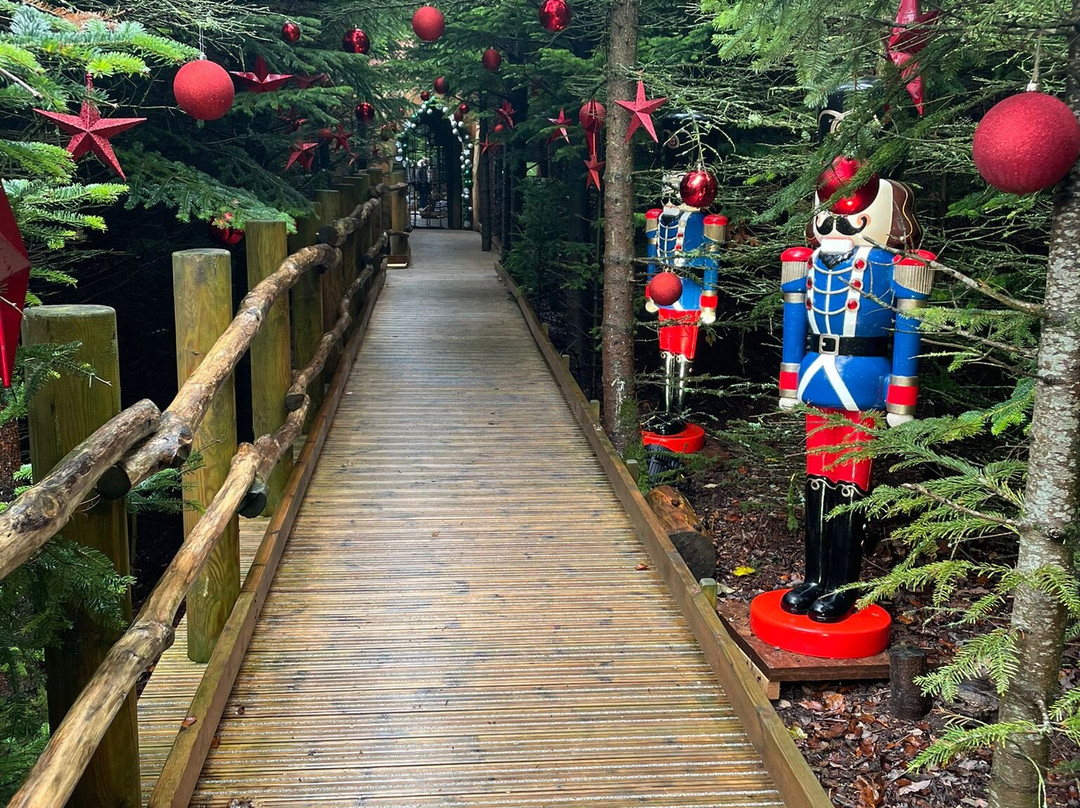 Raby Castle, Park And Gardens-Staindrop必去景点