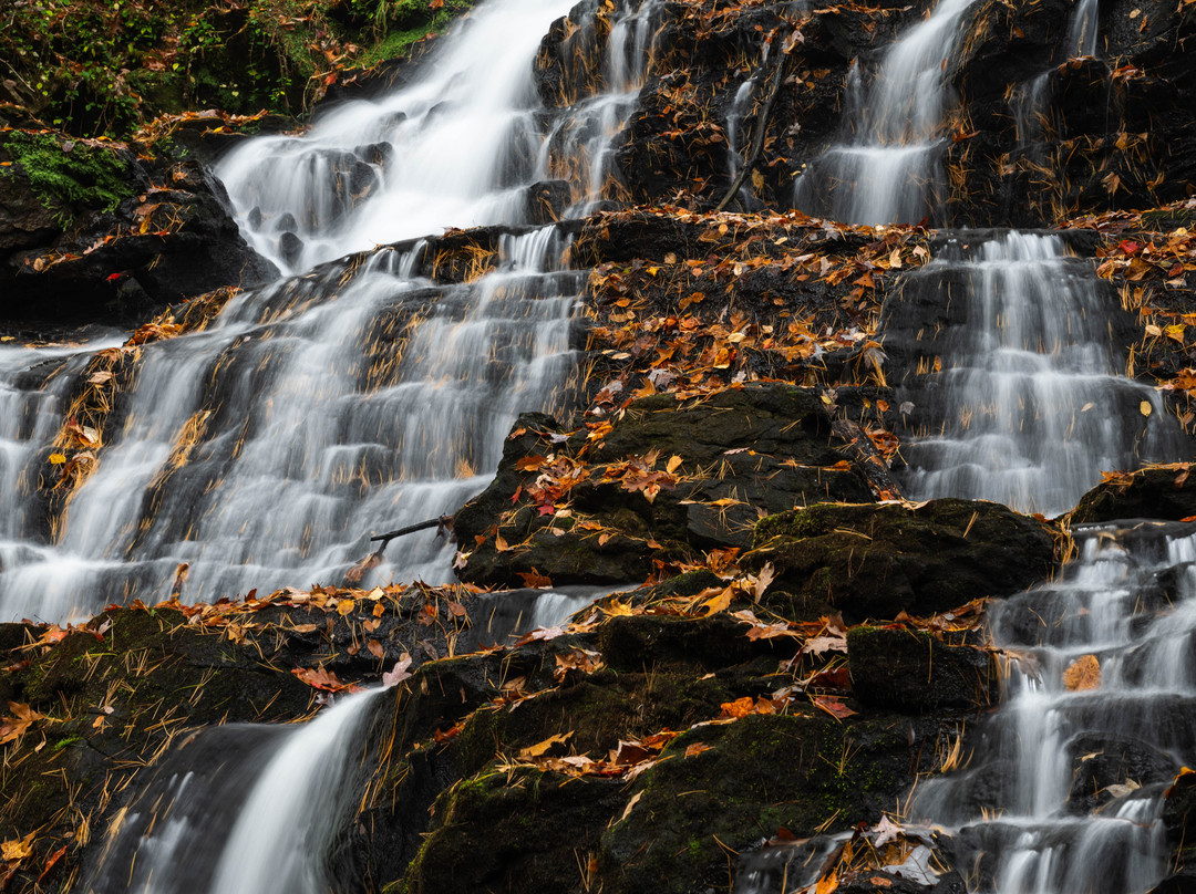 Vogel State Park-Blairsville必去景点