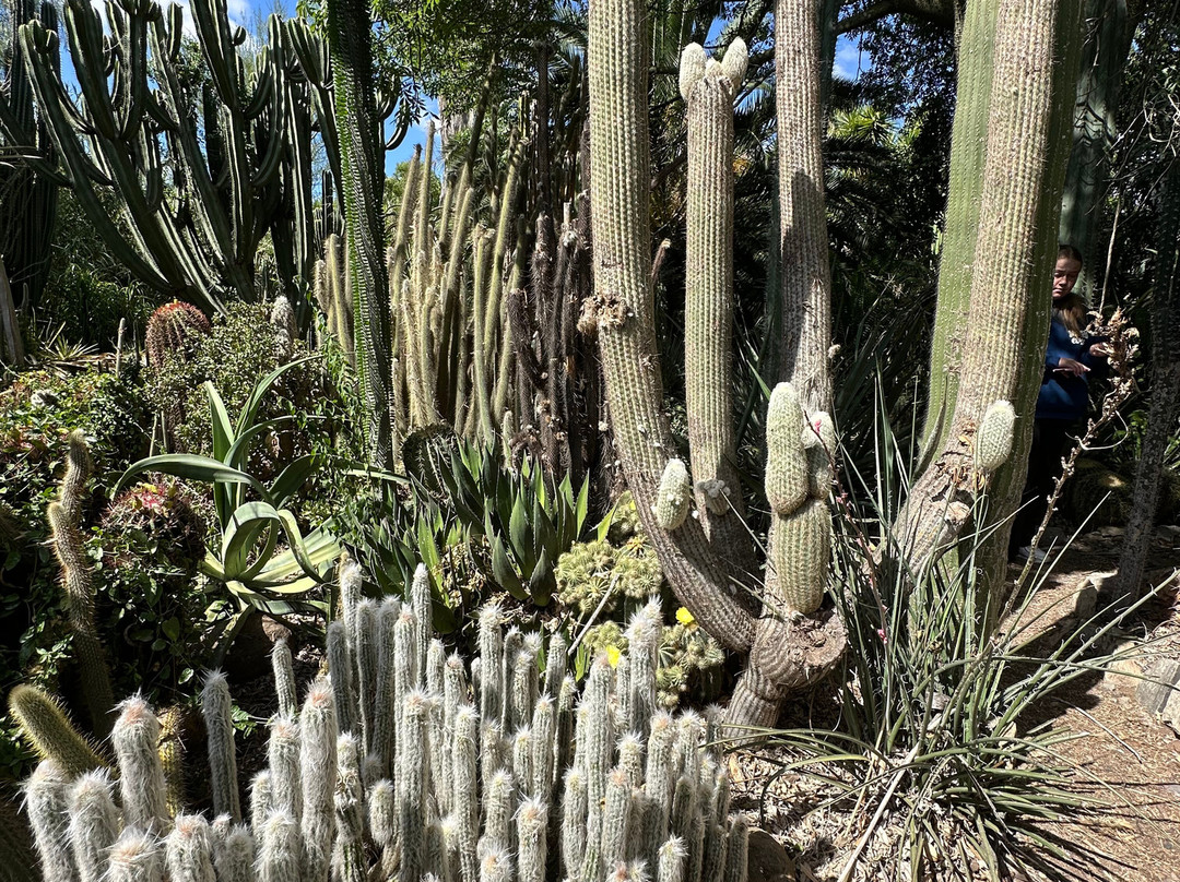 Obesa Cacti Nursery-格拉夫-里内特必去景点