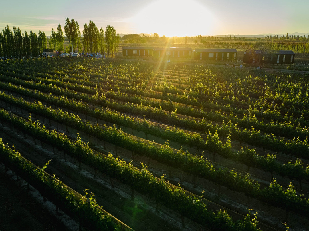 Bodega Iaccarini-圣拉斐尔必去景点