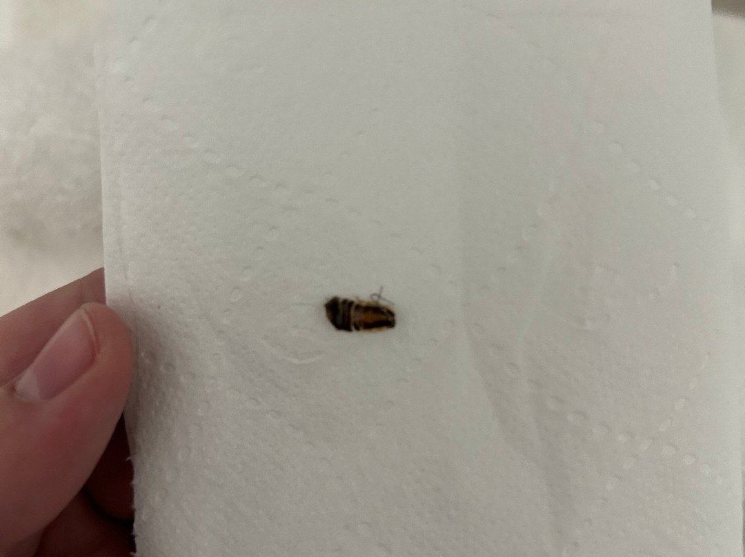 Comfort Suites Columbia主图