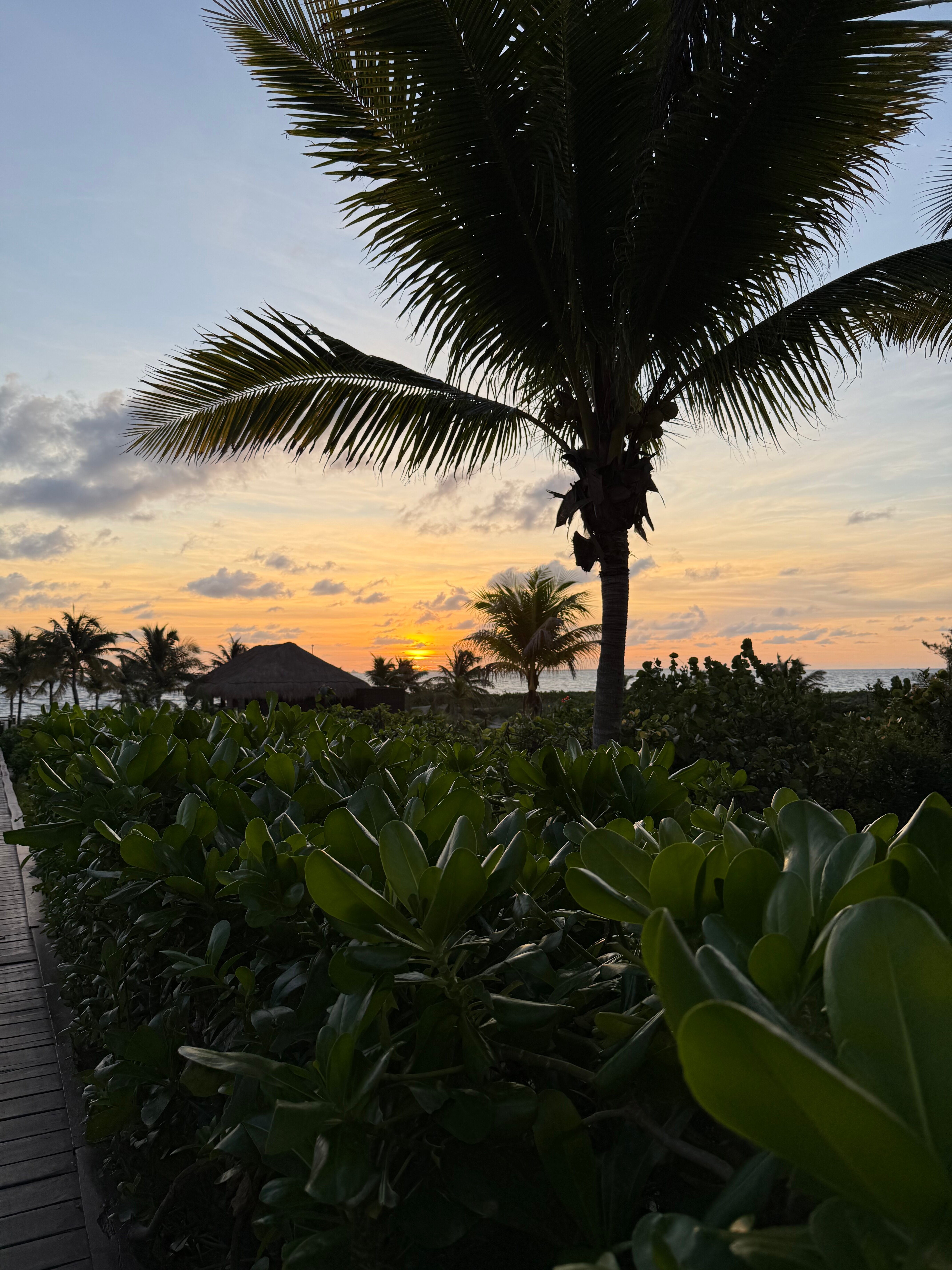 Catalonia Grand Costa Mujeres-泳池