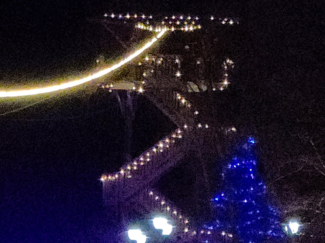 Screaming Raptor Zip Lines-Petersburg必去景点