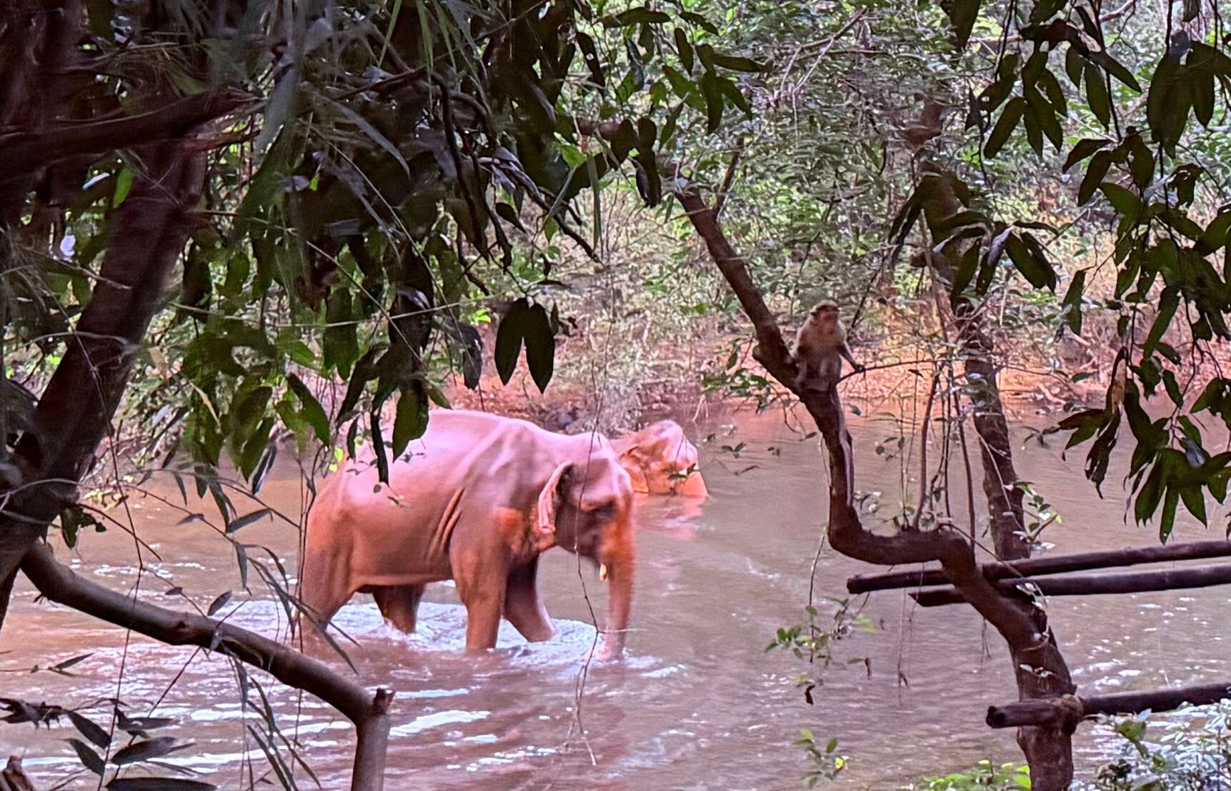 蓝色阿尔贡酒店-官方