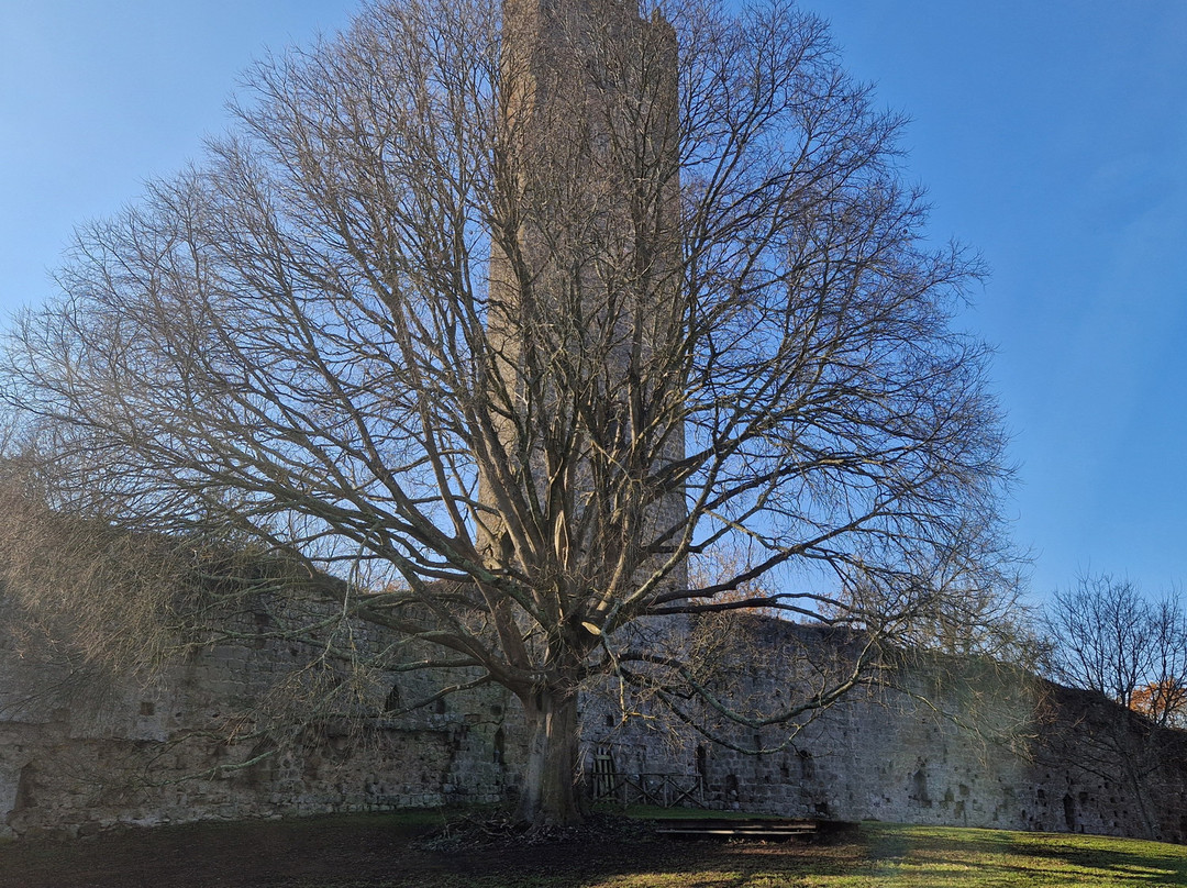 Torre di Chia-Soriano nel Cimino必去景点