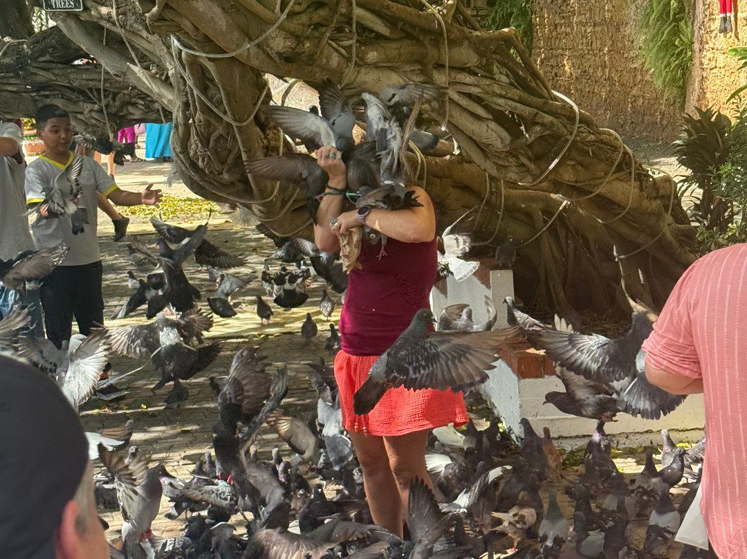 Flavors Food Tours - San Juan-圣胡安必去景点