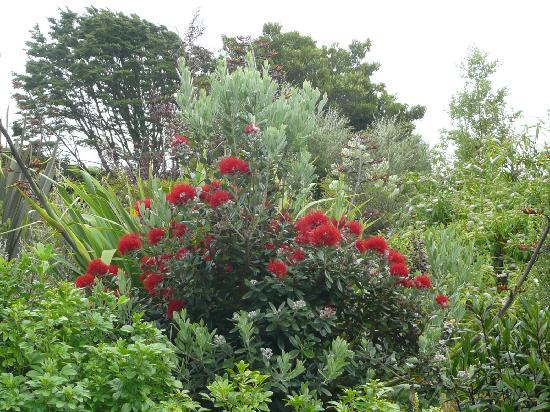 151 The Spur - Bed and Breakfast主图