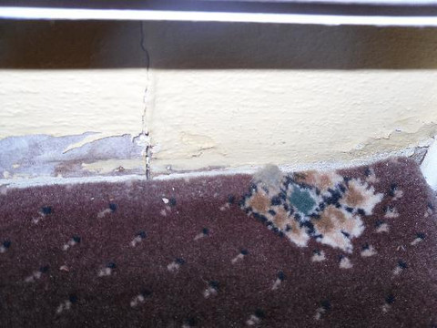 爱丁堡-皇家露台皇冠假日酒店主图