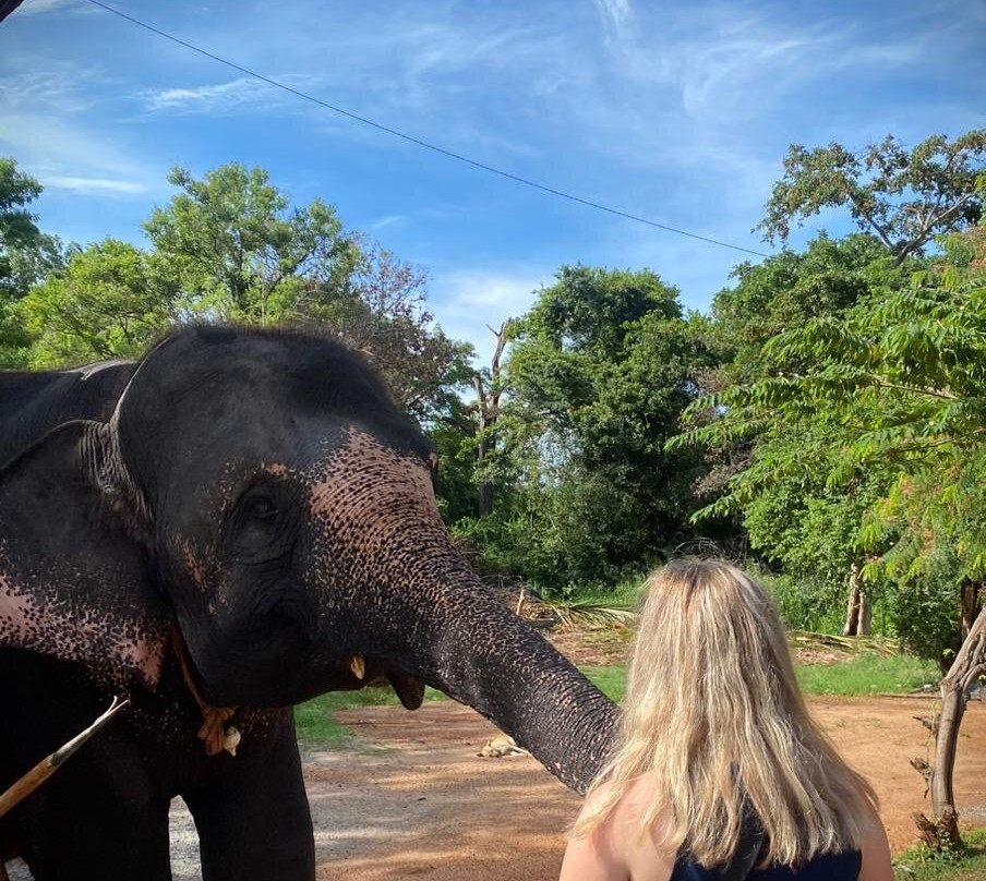 Sammy Reisen-班托塔必去景点