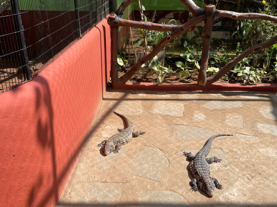 Fundera Park-Yelagiri必去景点