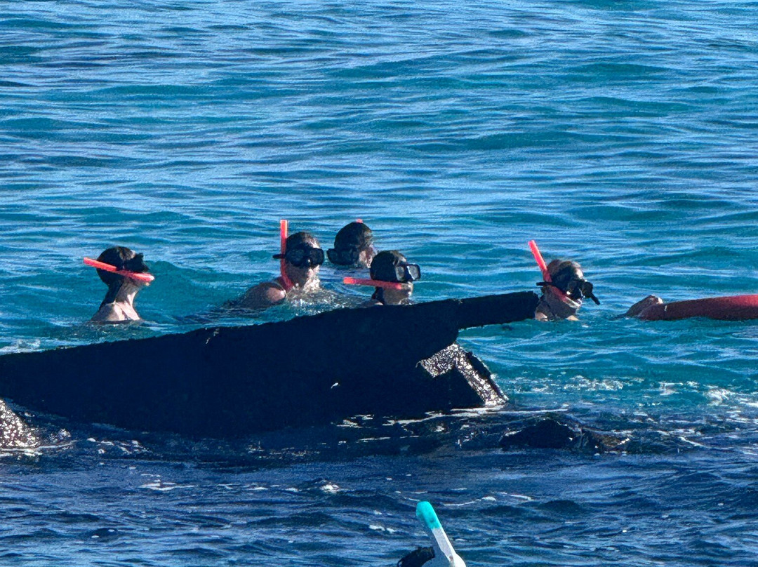 Catmania Catamarans-Costa Mujeres必去景点