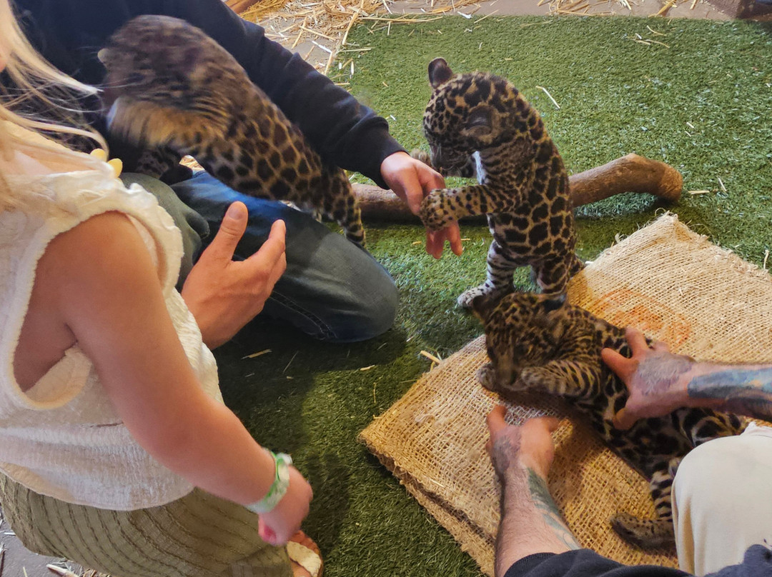 Pai Pai Ecotourism Park-恩塞纳达必去景点