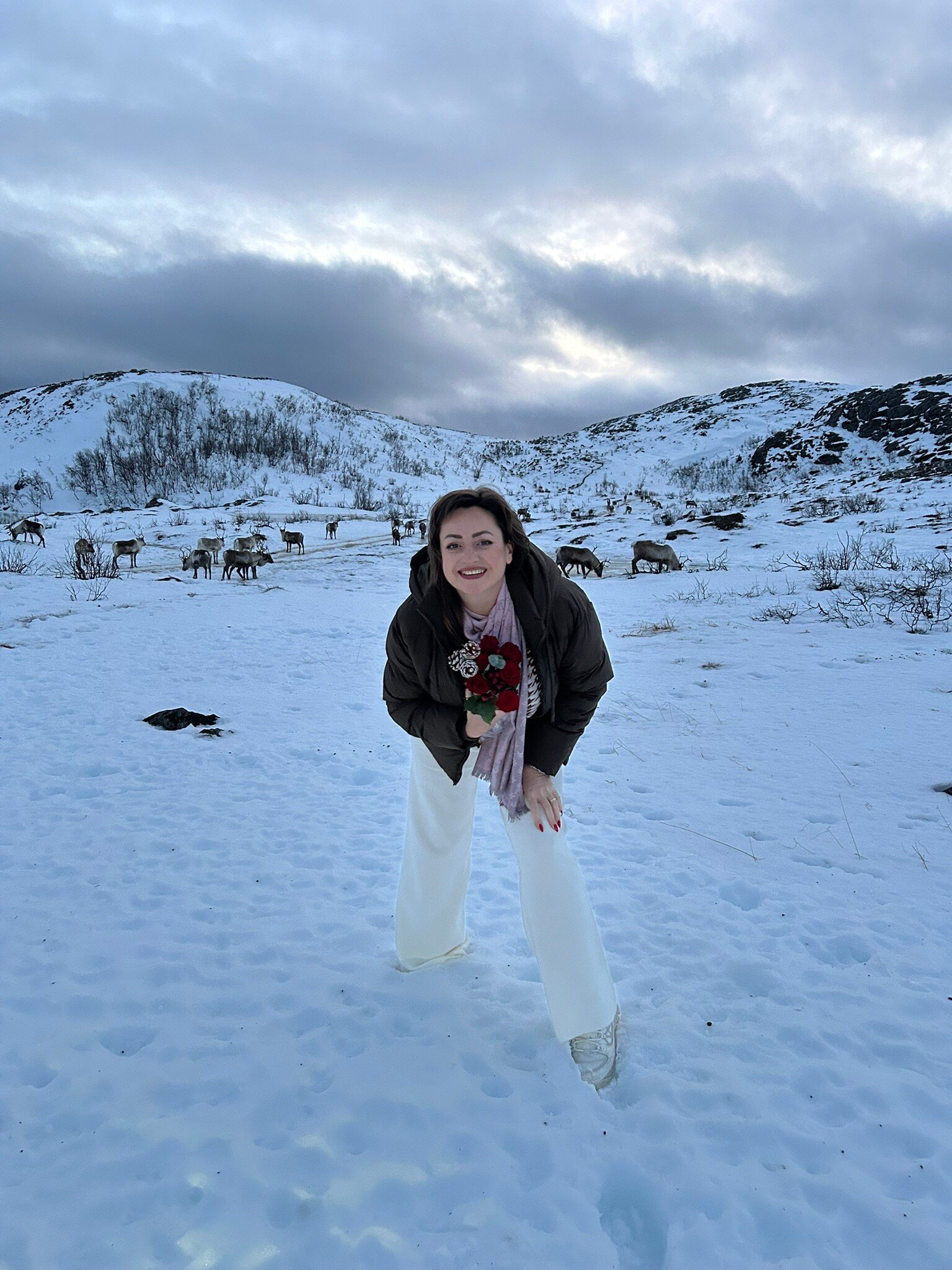 北极索马洛伊 - 斯堪迪克酒店-官方