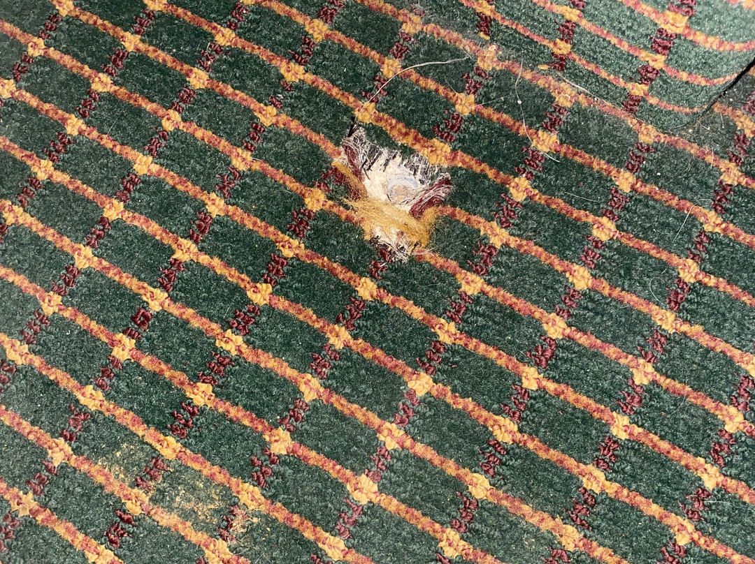 Red Roof Inn & Suites Hermitage主图