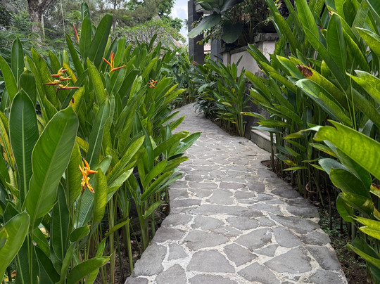 乌布苏亚拉空气豪华别墅主图