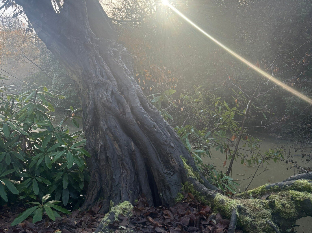 Forty Hall & Estate-恩菲尔德必去景点