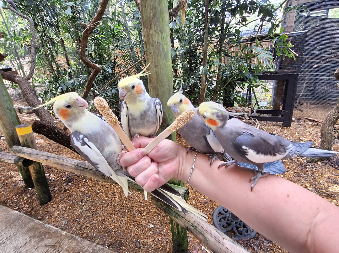 Brevard Zoo-墨尔本必去景点