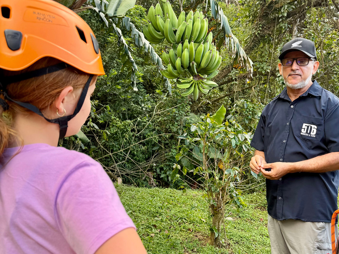 506 Transfers & Tours - Costa Rica-塔马林多必去景点