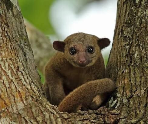 Unlock Nature-帕拉马里博必去景点