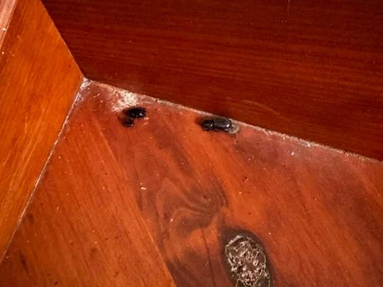 Warrenmang Winery & Resort主图