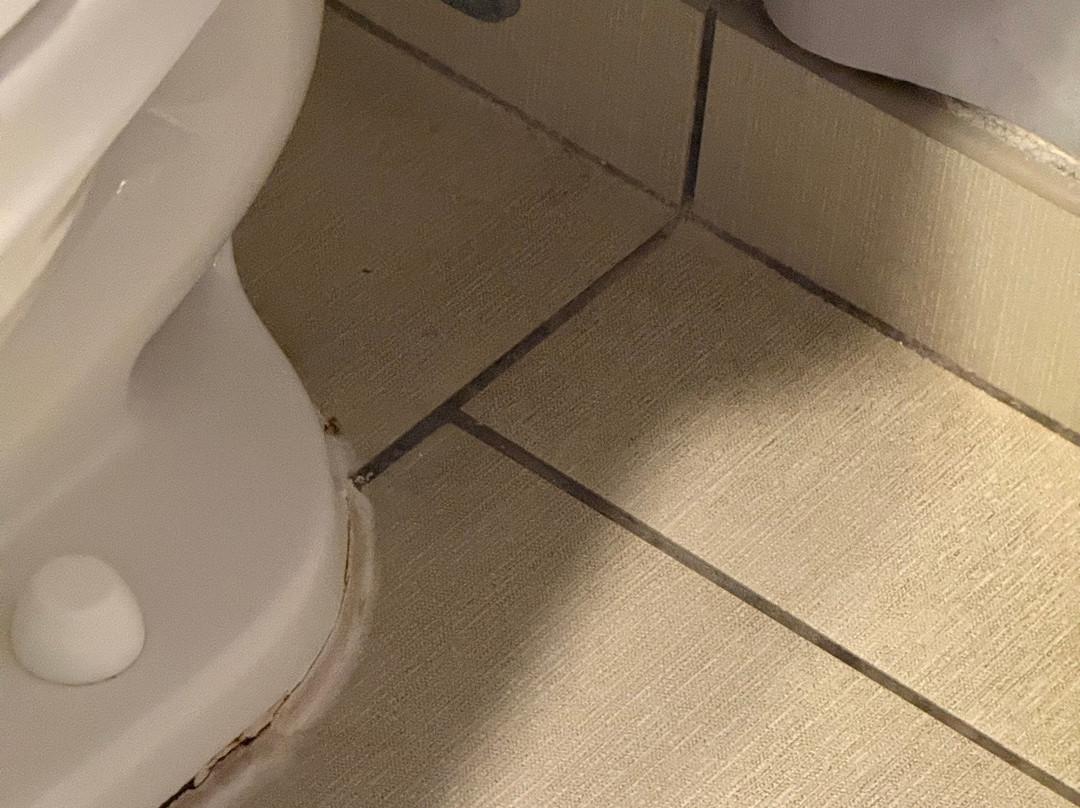 Hyatt Place Columbia/Harbison主图