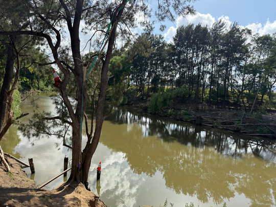 Rope Swing-Denman必去景点