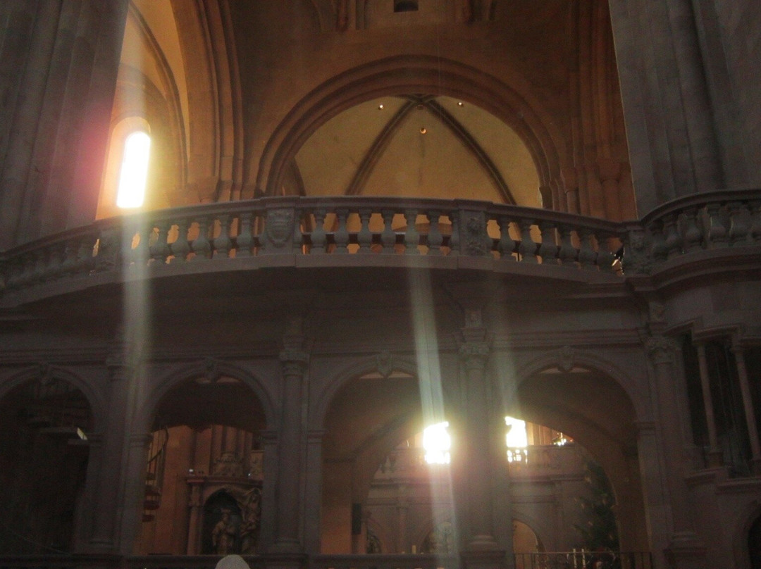 Mainzer Dom-美因茨必去景点