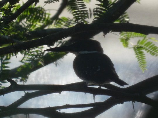 Tours and More CR-圣特雷莎必去景点