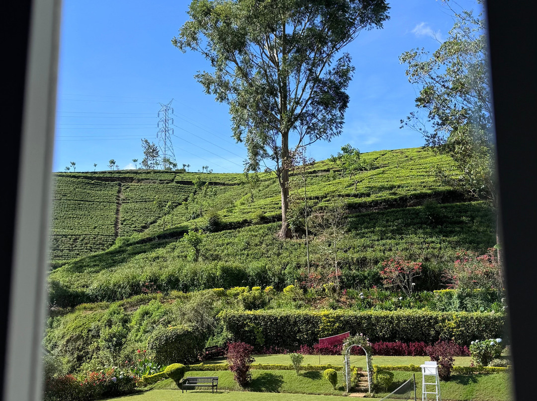 阿马亚兰达乐酒店主图