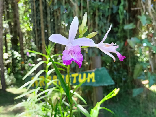 Sophie Nature Walk-Vacoas必去景点