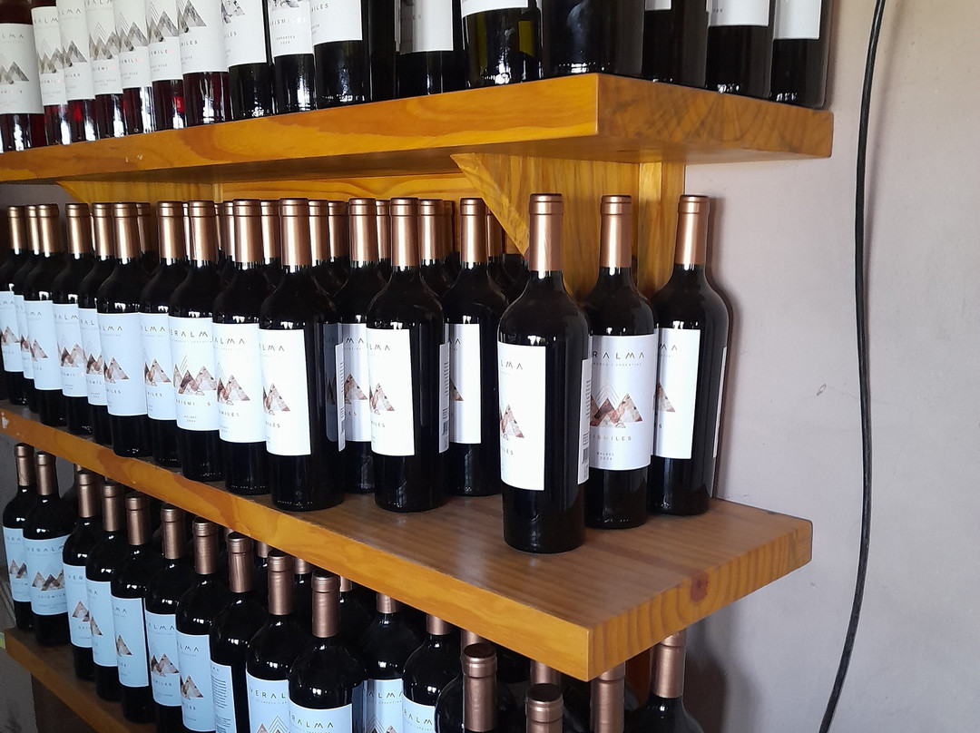 Bodega Seismiles-Tinogasta必去景点