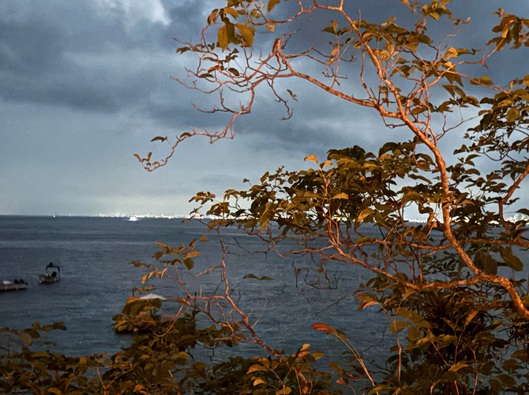 Rhythms of the Night by Vallarta Adventures-瓦拉塔港必去景点